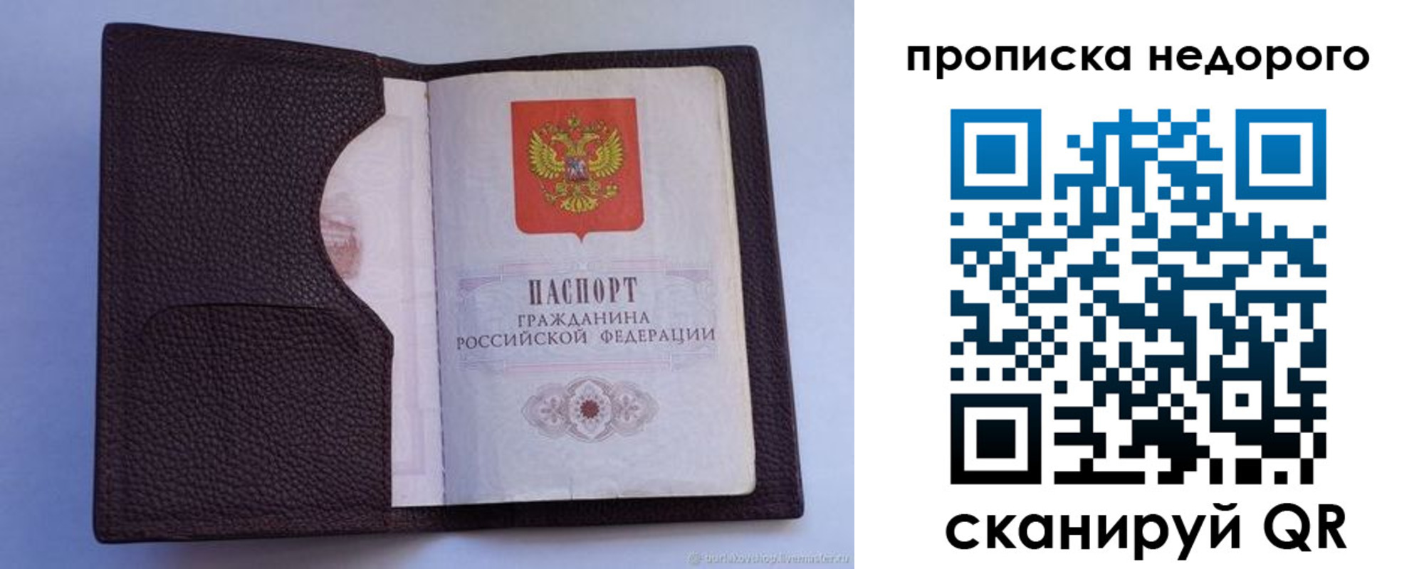 прописка законно в Брянской области